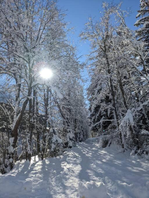 Chalet L'Ilet Ensoleille /Sunny Island Chalet Chamonix Exterior foto