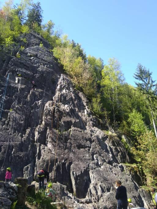 Chalet L'Ilet Ensoleille /Sunny Island Chalet Chamonix Exterior foto
